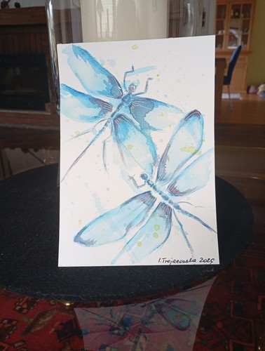 The dragonfly watercolour - ,