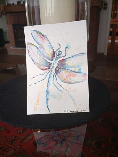 The dragonfly watercolour - ,